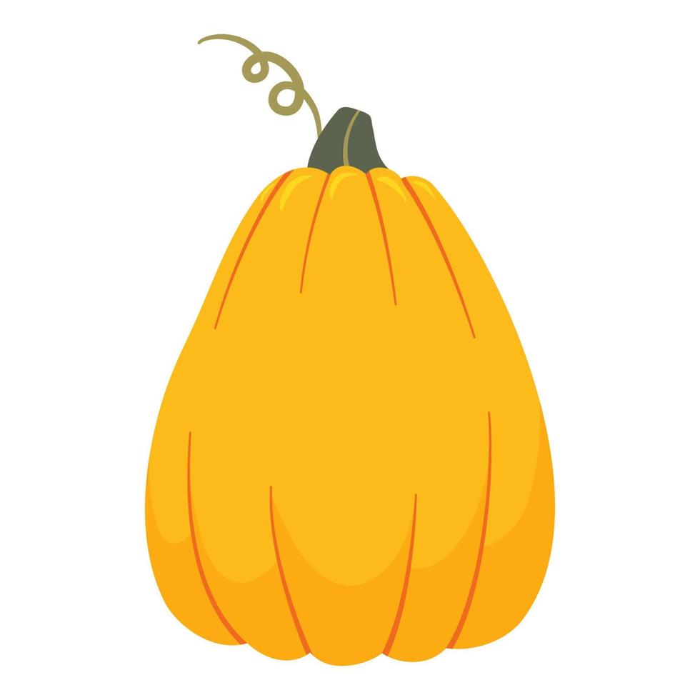 pompoen cartoon vectorillustratie. Thanksgiving, oogst en halloween element geïsoleerd op een witte achtergrond. vector