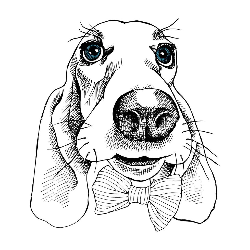 cartoon hond gezicht vector