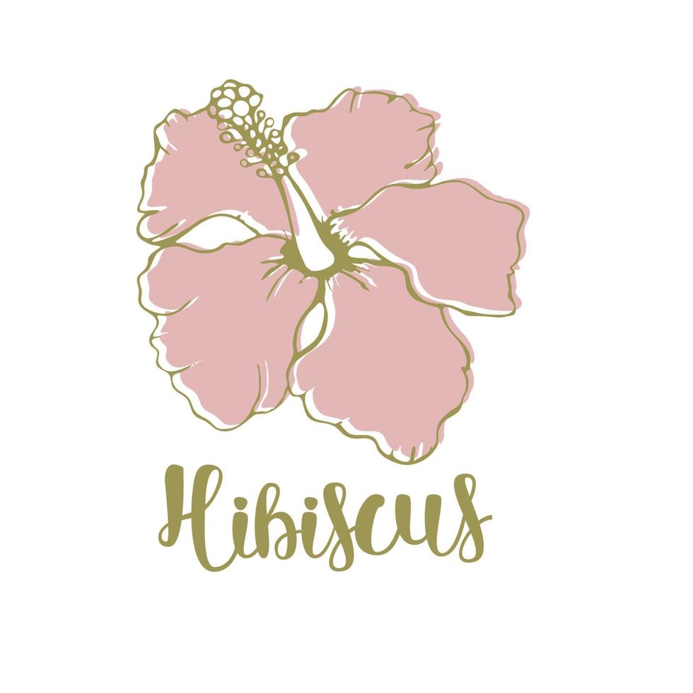 een grote hibiscusbloem. vector