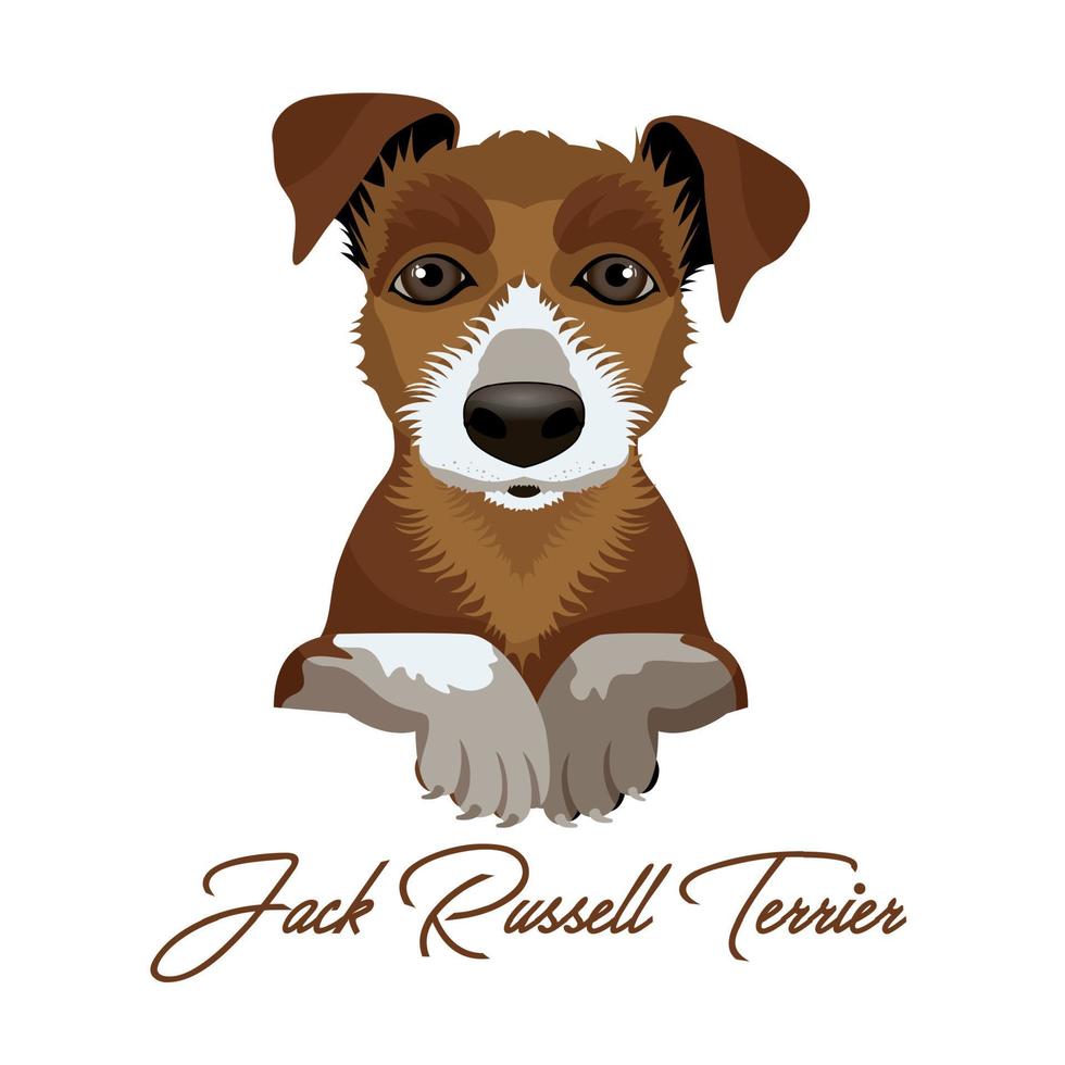 jack russel terrier vector