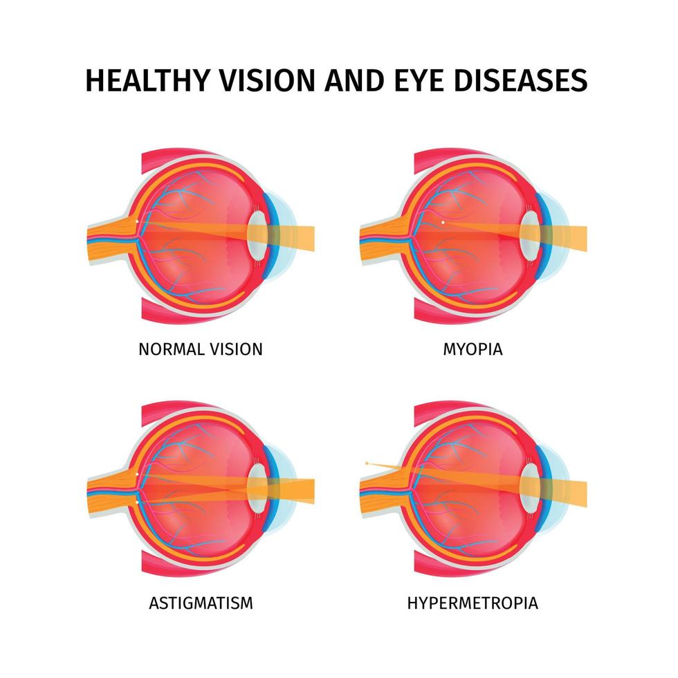 menselijk oog anatomie set vector