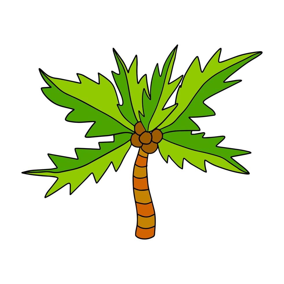 schattige cartoon doodle lineaire palm geïsoleerd op een witte achtergrond. exotische boom schets. vector