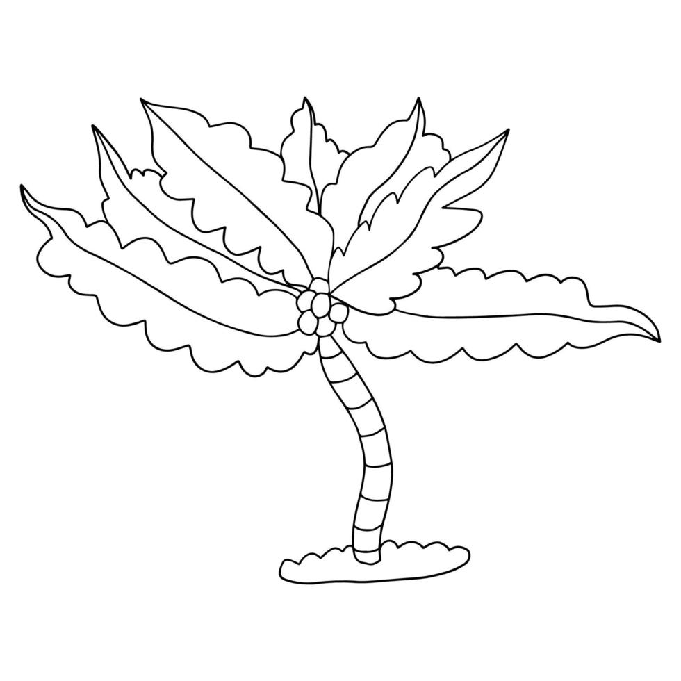 schattige cartoon doodle lineaire palm geïsoleerd op een witte achtergrond. exotische boom schets. vector