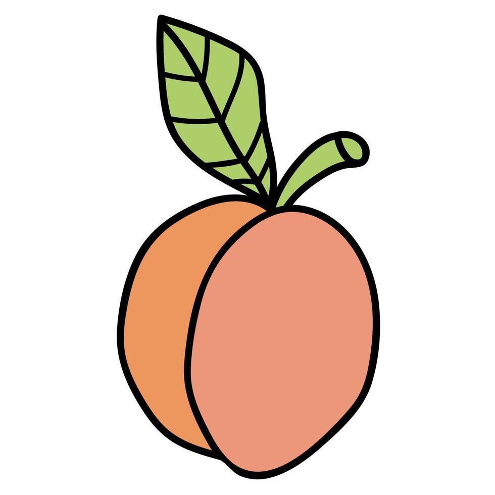 cartoon doodle lineaire abrikoos met blad geïsoleerd op een witte achtergrond. vector