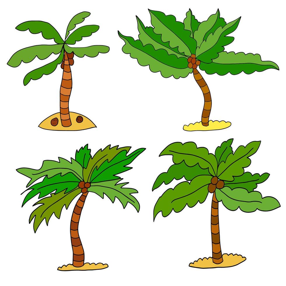 schattige cartoon doodle lineaire palm geïsoleerd op een witte achtergrond. exotische boom schets. vector