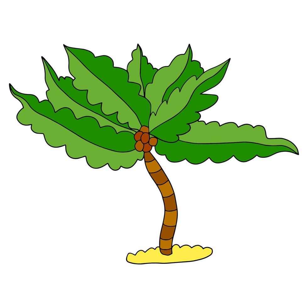 schattige cartoon doodle lineaire palm geïsoleerd op een witte achtergrond. exotische boom schets. vector