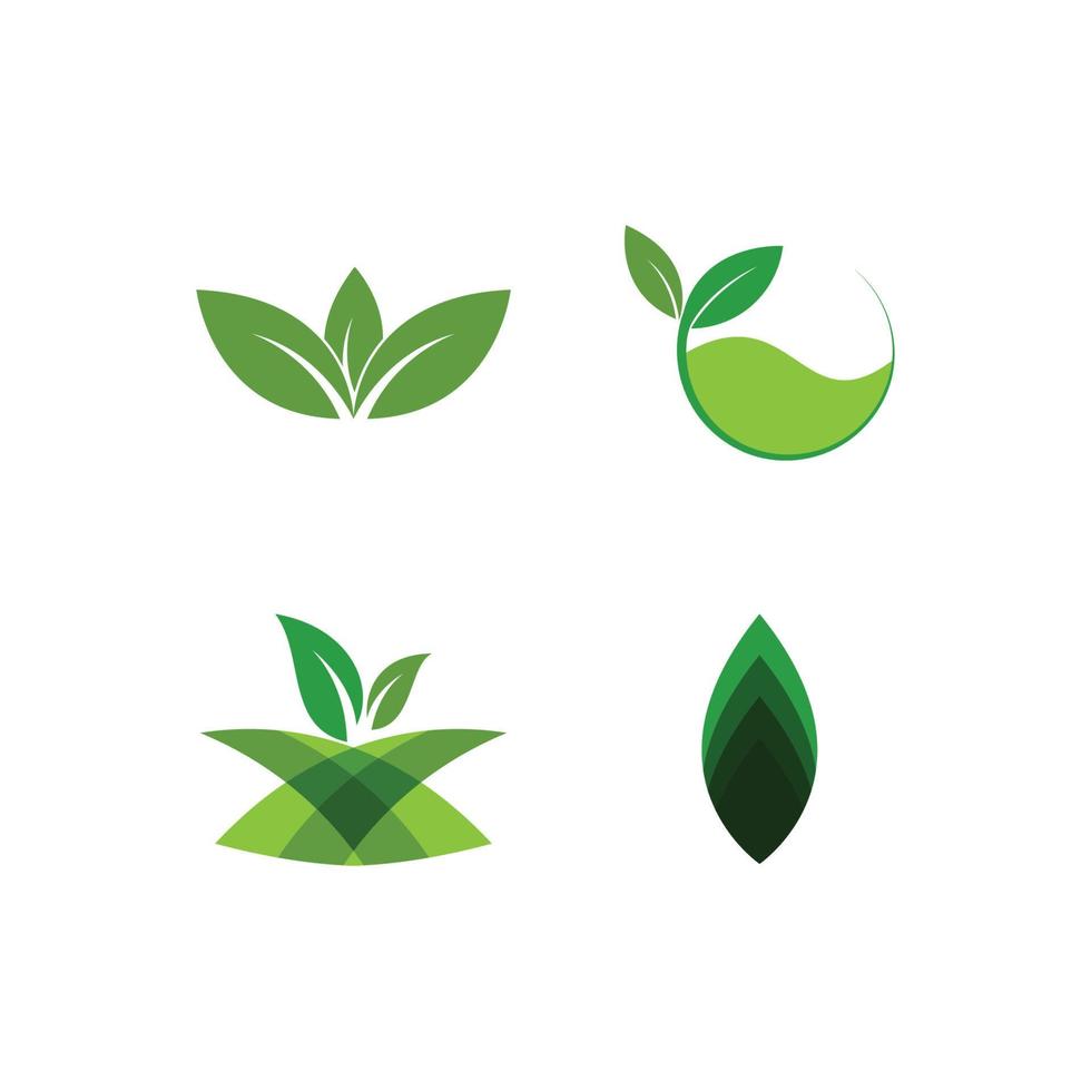 groen blad logo vector