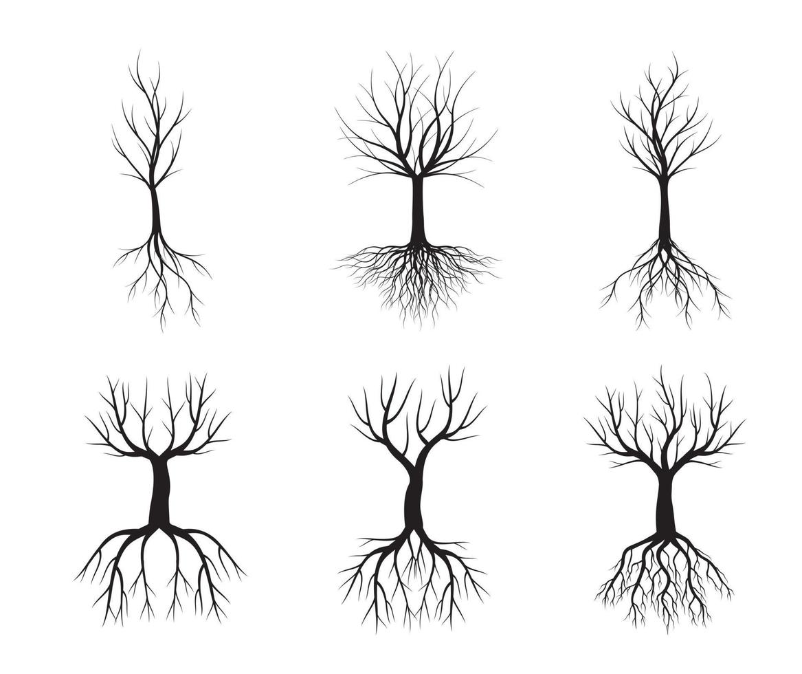 zet naakte bomen met wortels terug. vector overzicht illustratie. eps-bestand.