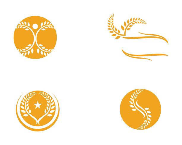 Landbouw tarwe Logo sjabloon, gezond leven logo vector pictogram ontwerp