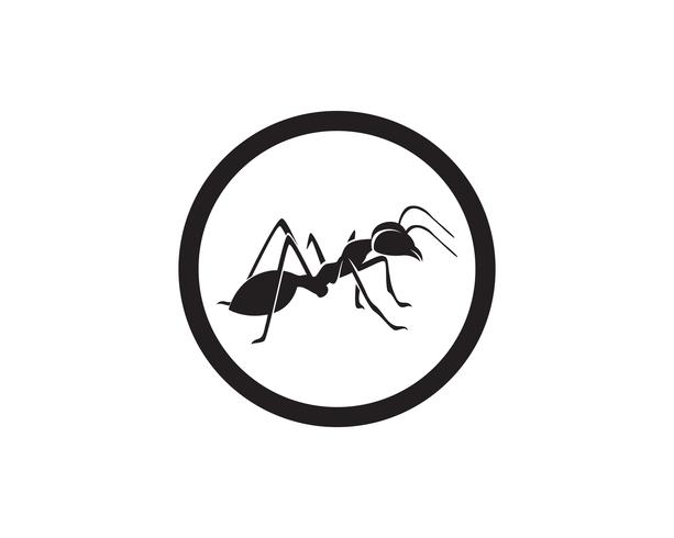 Ant Logo template vector illustratie ontwerp