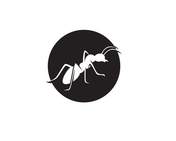 Ant Logo template vector illustratie ontwerp