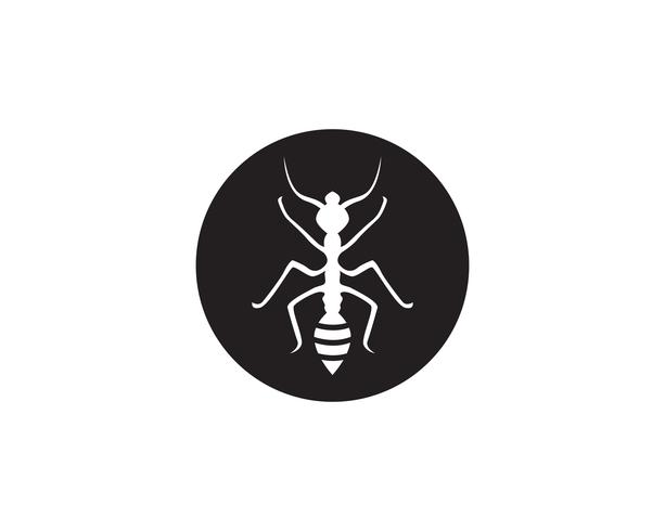 Ant Logo template vector illustratie ontwerp