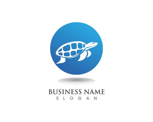 schildpad dierlijke cartoon afbeelding vector illustratie ontwerp