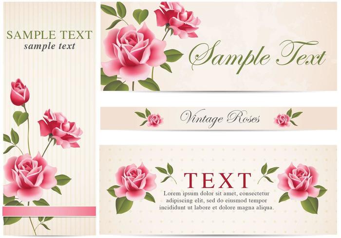 vintage roos banner vector pack