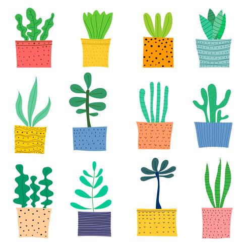 Hand getrokken Doodle Cactus Vector Set. Handgemaakte vectorillustratie.