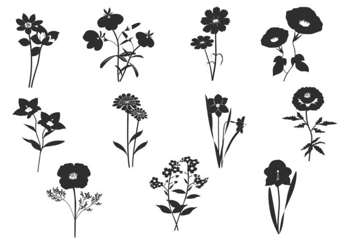 Zwart en wit bloemen Vector Pack