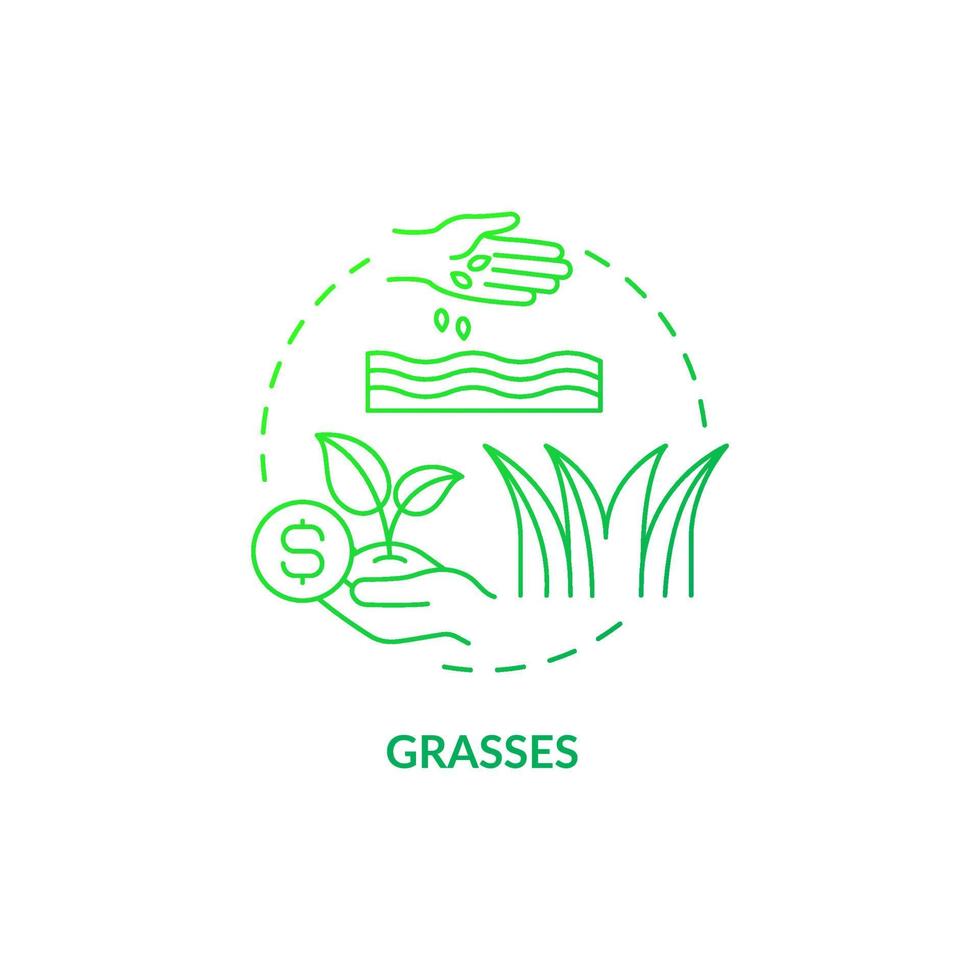 grassen groen kleurovergang concept icoon. groeiende switchgrass abstracte idee dunne lijn illustratie. productie van biobrandstoffen. geïsoleerde overzichtstekening. roboto-medium, talloze pro-bold lettertypen gebruikt vector