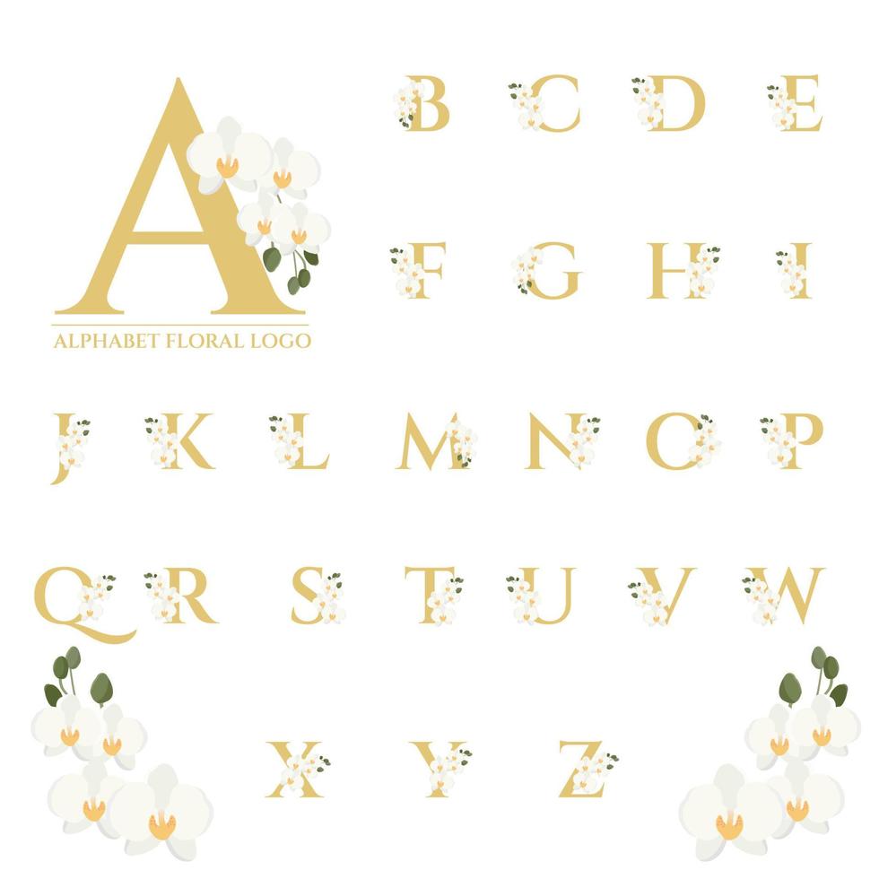 mooie gouden serif phalaenopsis orchidee bloemen alfabet voor logo collectie vector