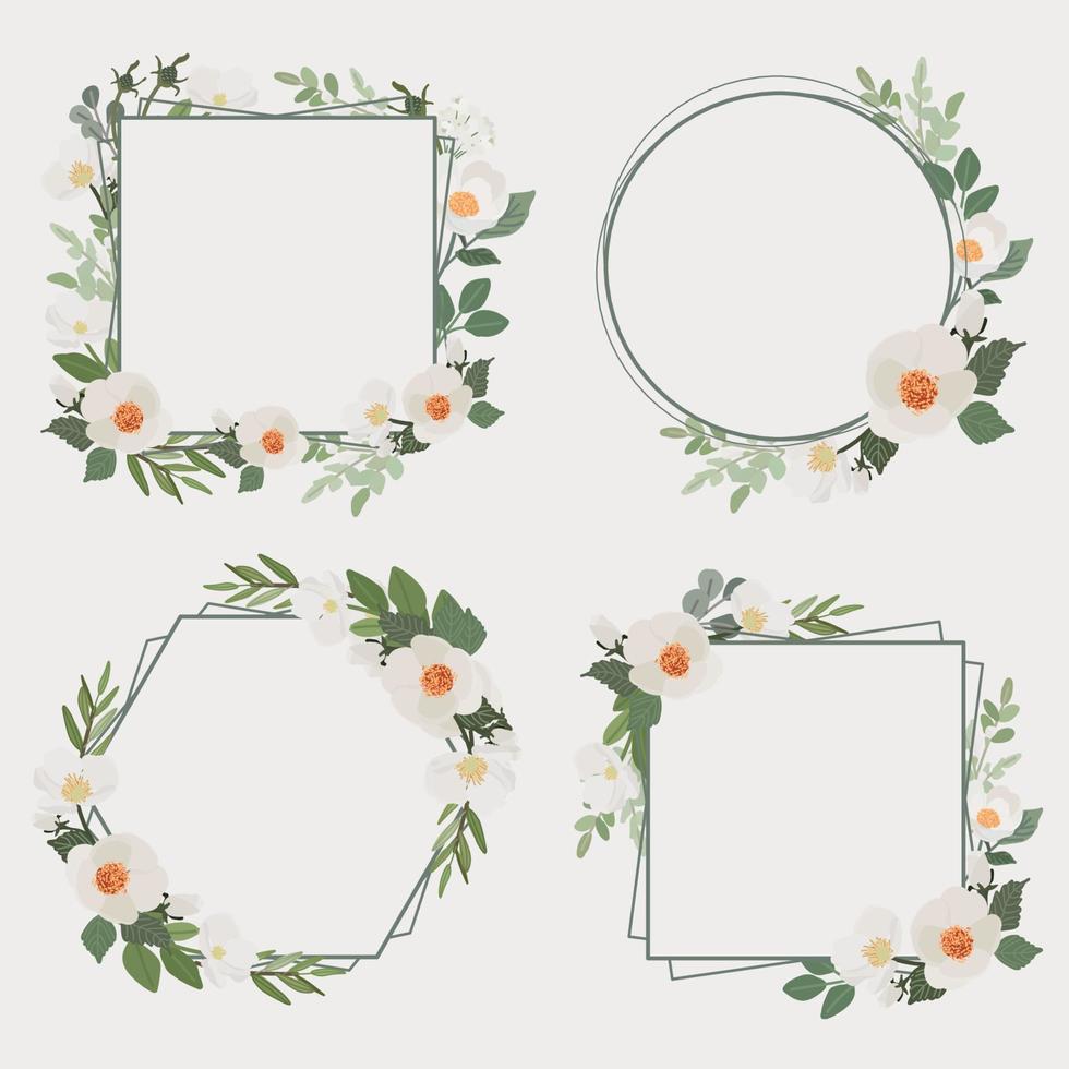 witte camellia bloemboeket krans frame collectie vlakke stijl vector