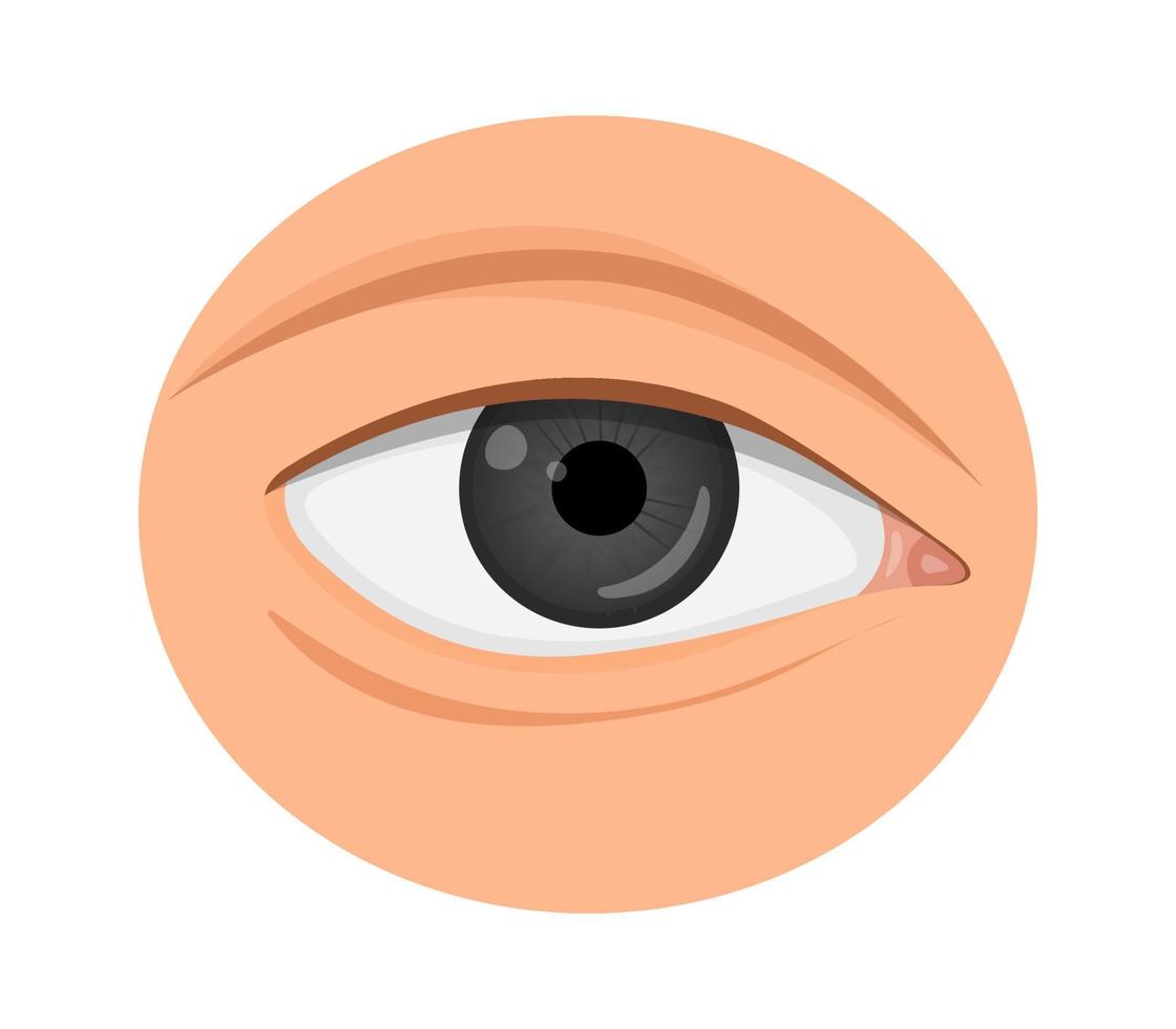 gezond oog. cartoon stijl vector