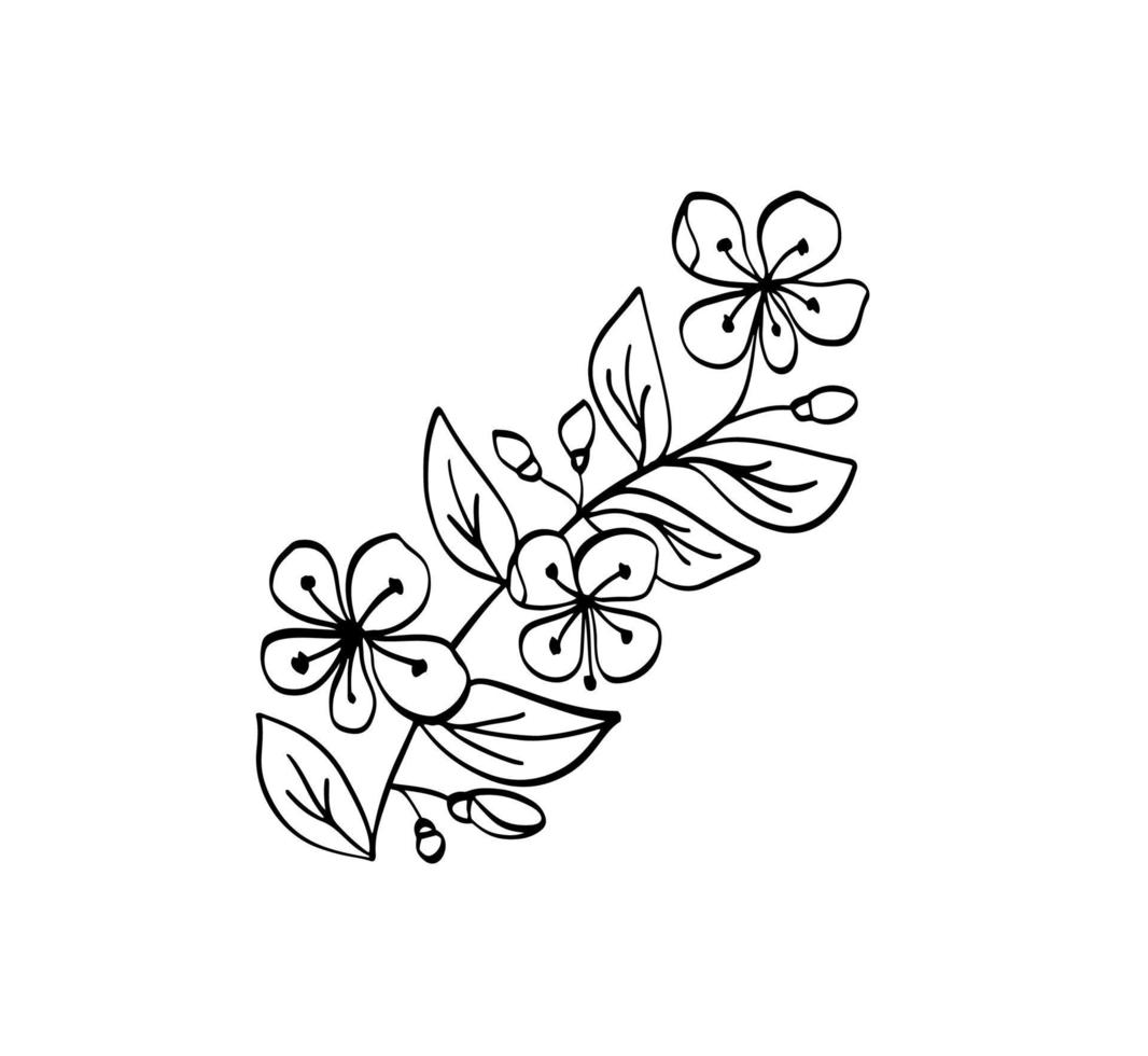 vector schets bloemen plantkunde tak lente. magnolia bloem tekening. zwart-wit met lijntekeningen geïsoleerd op een witte achtergrond. handgetekende botanische illustratie