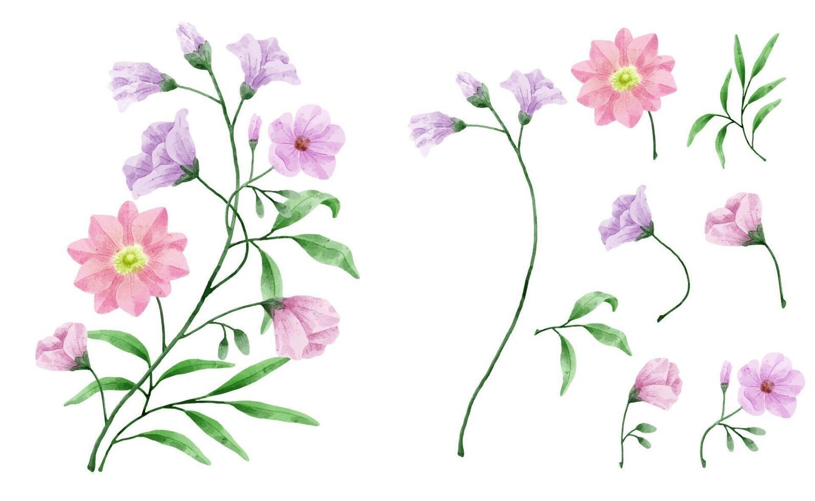 een set bloemen geschilderd in waterverf voor het maken van designerwerk vector