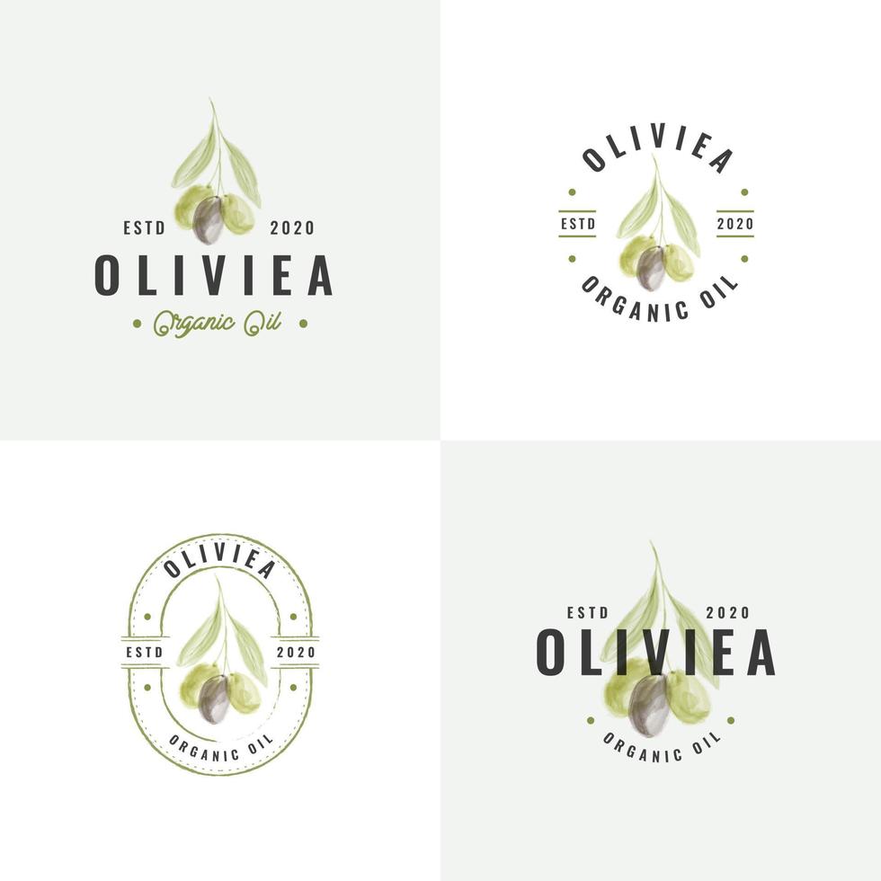 handgetekende olijf vintage badge logo collectie vector