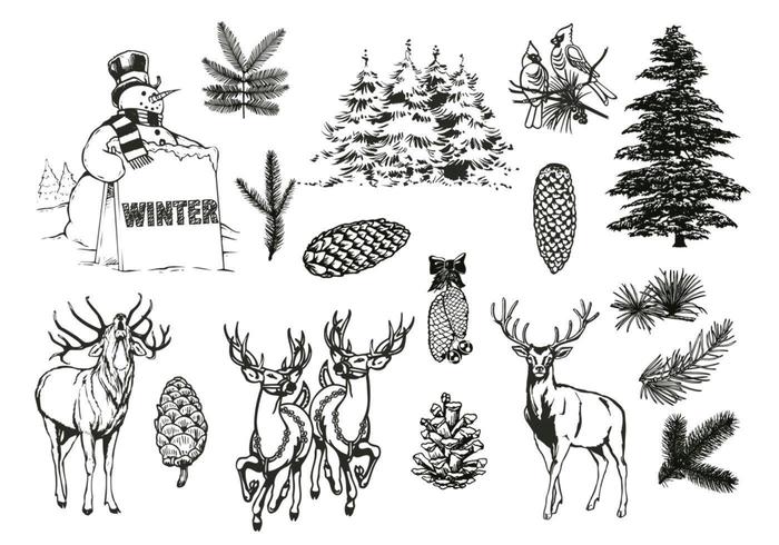 Natuurlijke Bos en Winter Vector Pack