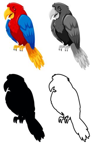 Set van papegaaien karakter vector