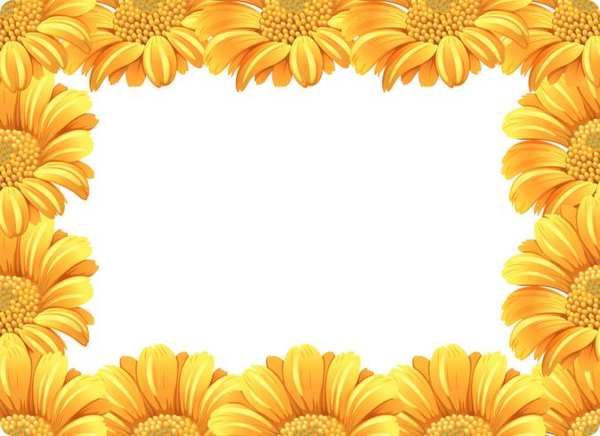 Gele daisy bloemenrand vector