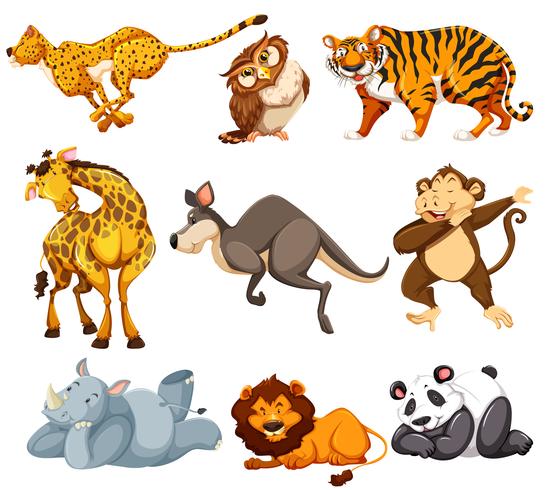 Set van wilde dieren vector