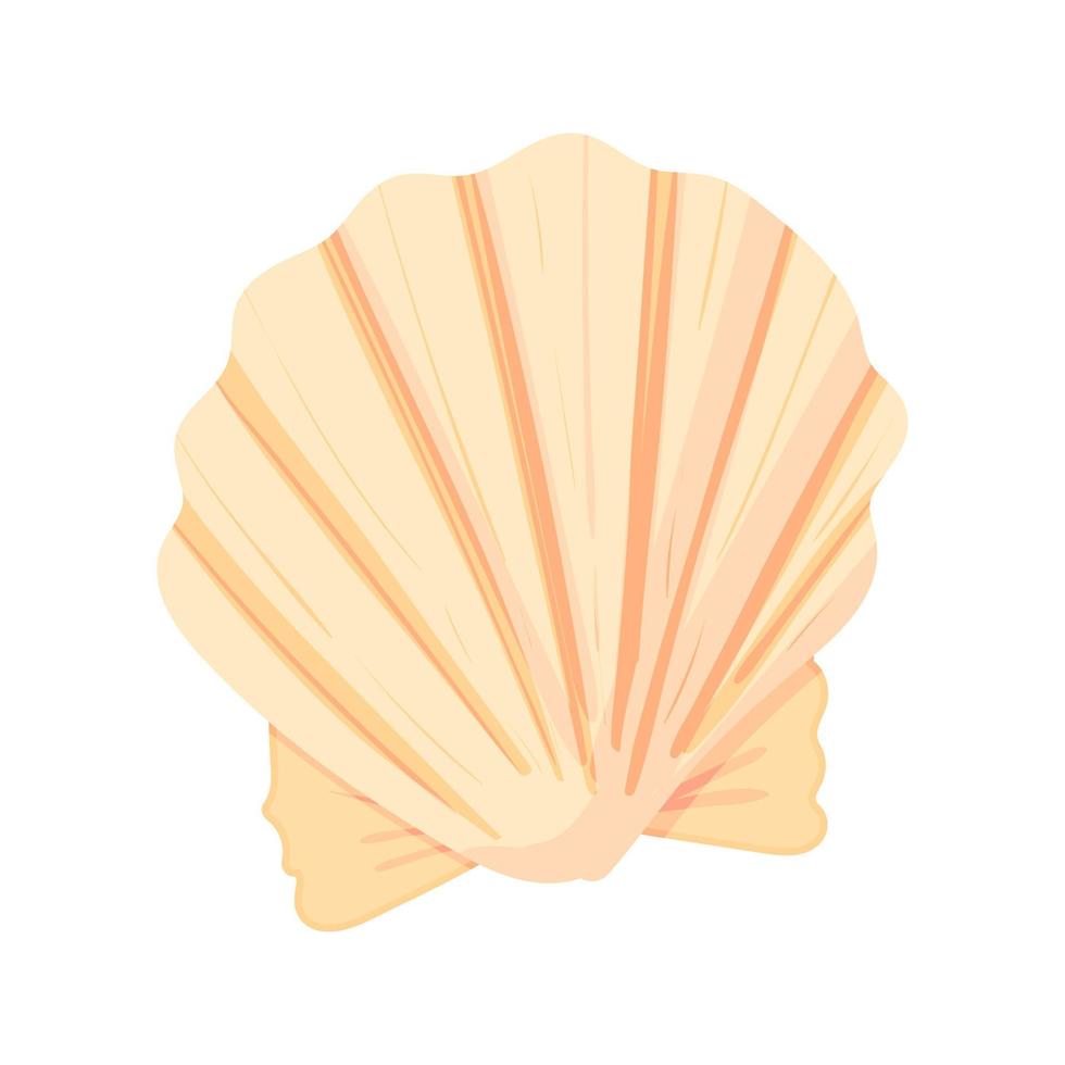 conch platte cartoon vectorillustratie geïsoleerd op een witte achtergrond. kleurrijk tropisch strand shell onderwater icoon. aquatische natuur. vector