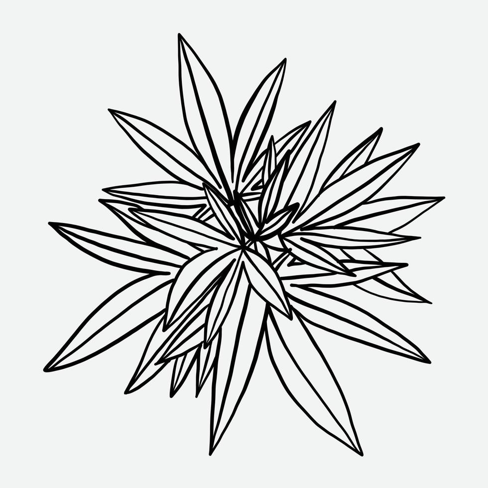 eenvoud cannabisblad uit de vrije hand tekenen plat ontwerp. vector