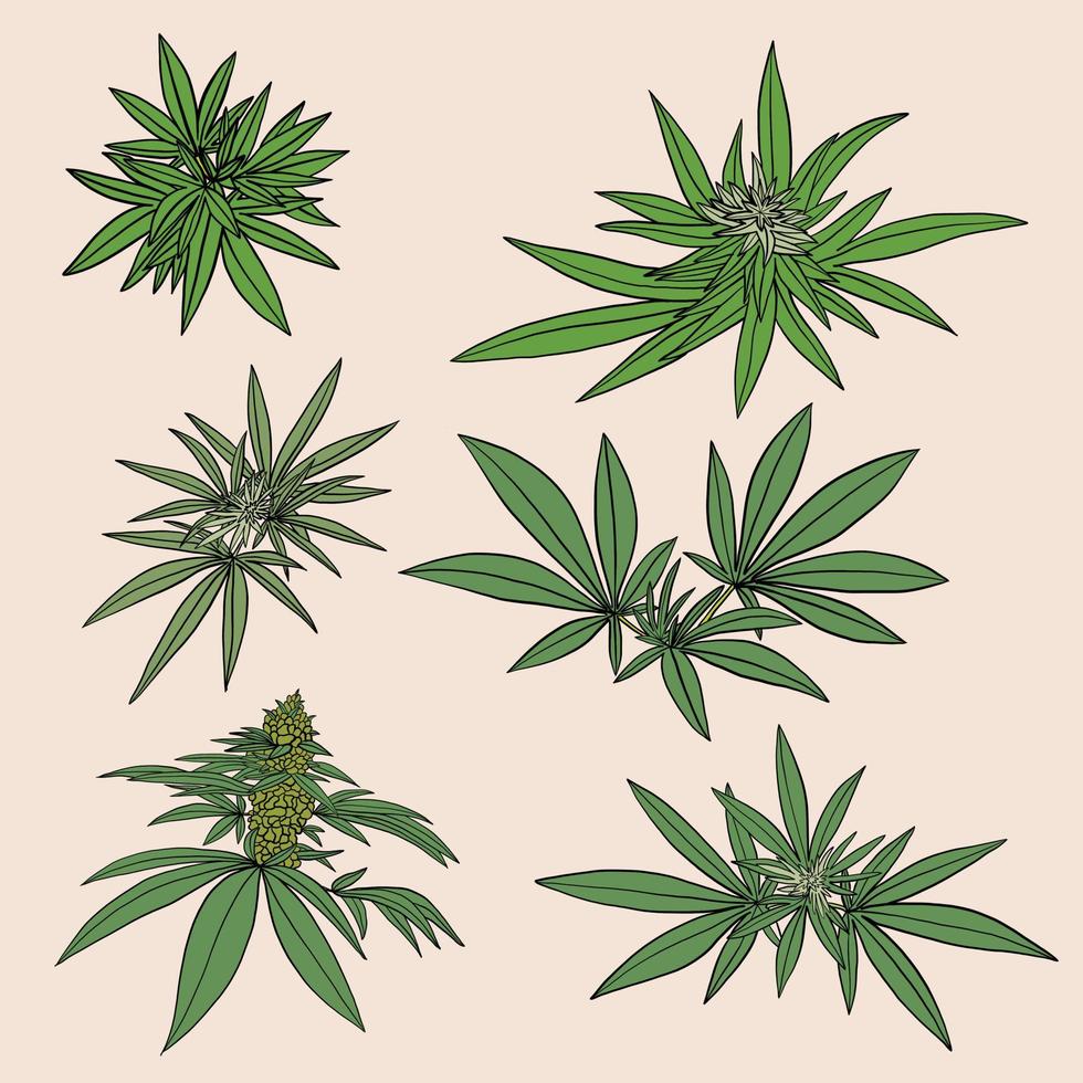 eenvoud cannabisblad uit de vrije hand tekenen plat ontwerp. vector