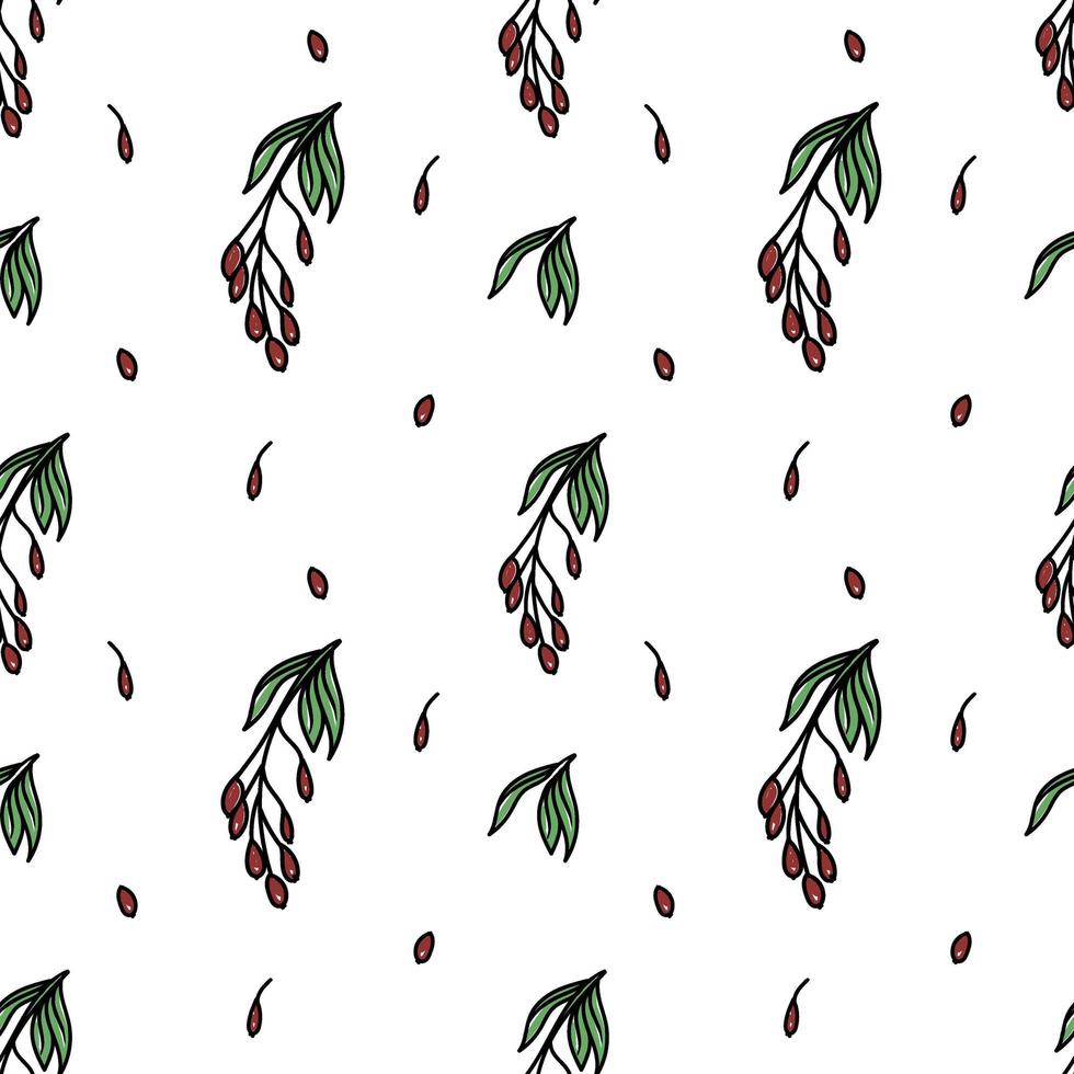 naadloze berberis patroon, getekende element in doodle stijl. culinair, keuken. kruiden en specerijen - berberis tak, bladeren en bessen. patroon in een trendy lineaire stijl. vector