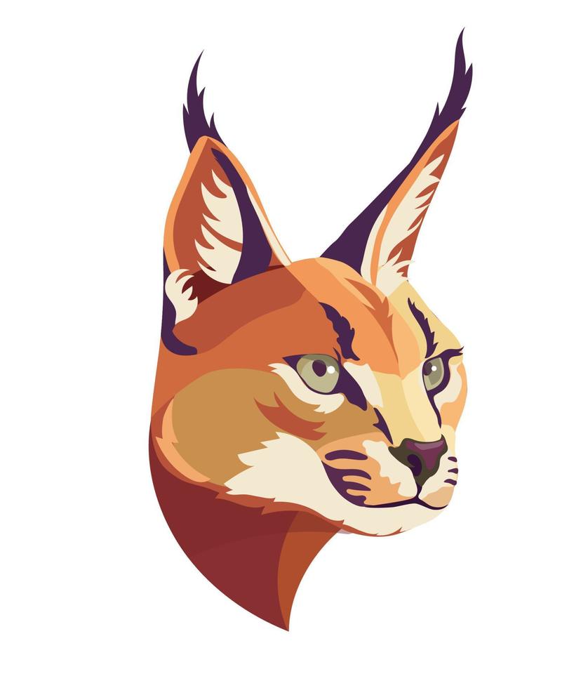 caracal wilde kat geïsoleerde vectorillustratie vector