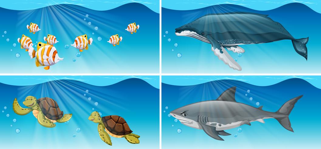 Onderwater scènes met zeedieren vector