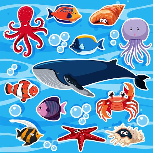 Stickersjabloon met veel zeedieren vector