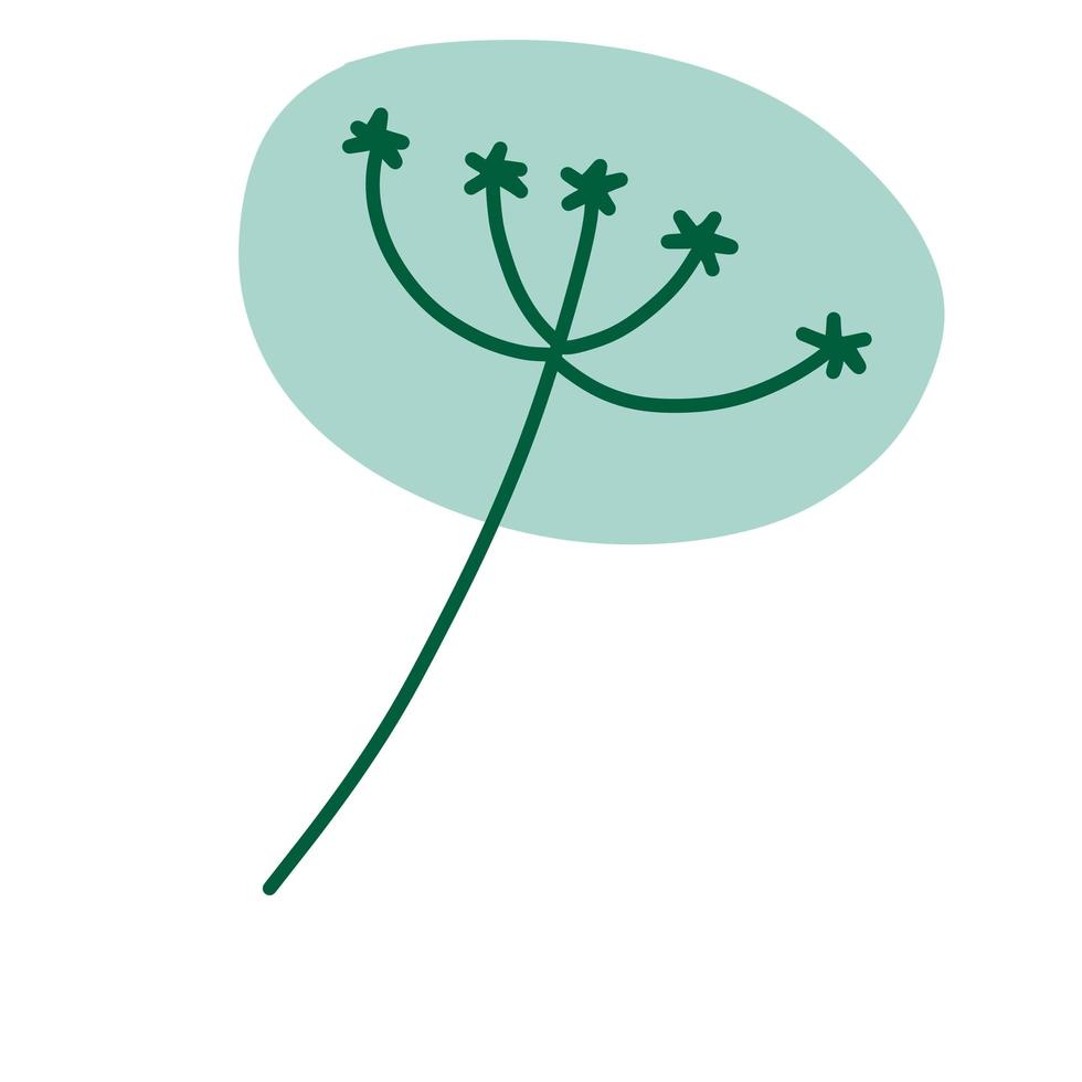 dille in doodle stijl. weide groene plant en kruid. eenvoudig natuurgras vector