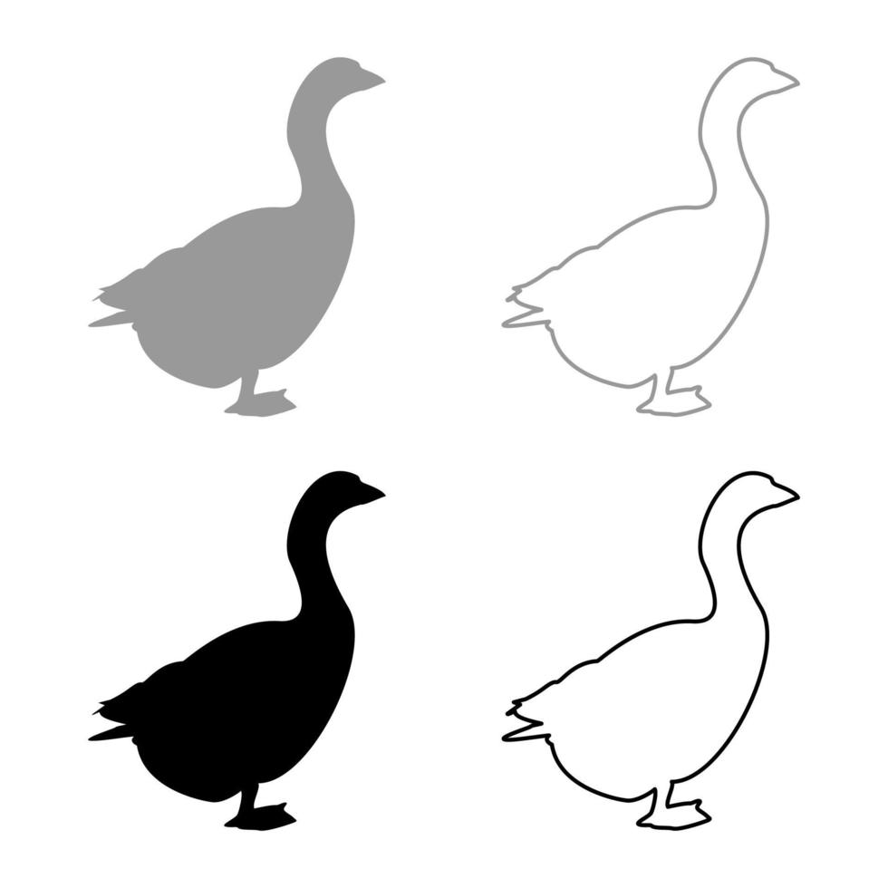 gans gans ganzen anser gander silhouet grijs zwart kleur vector illustratie solide omtrek stijl afbeelding