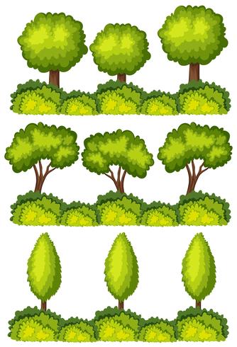 Set van boom lijnen vector