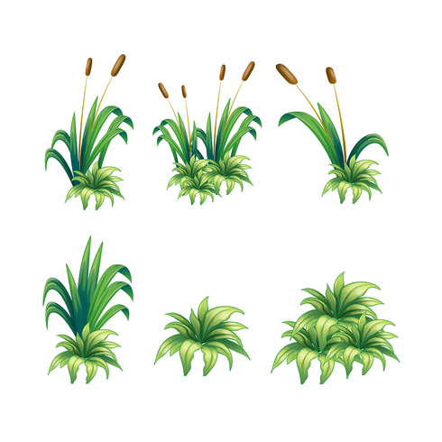 Onkruid en planten vector