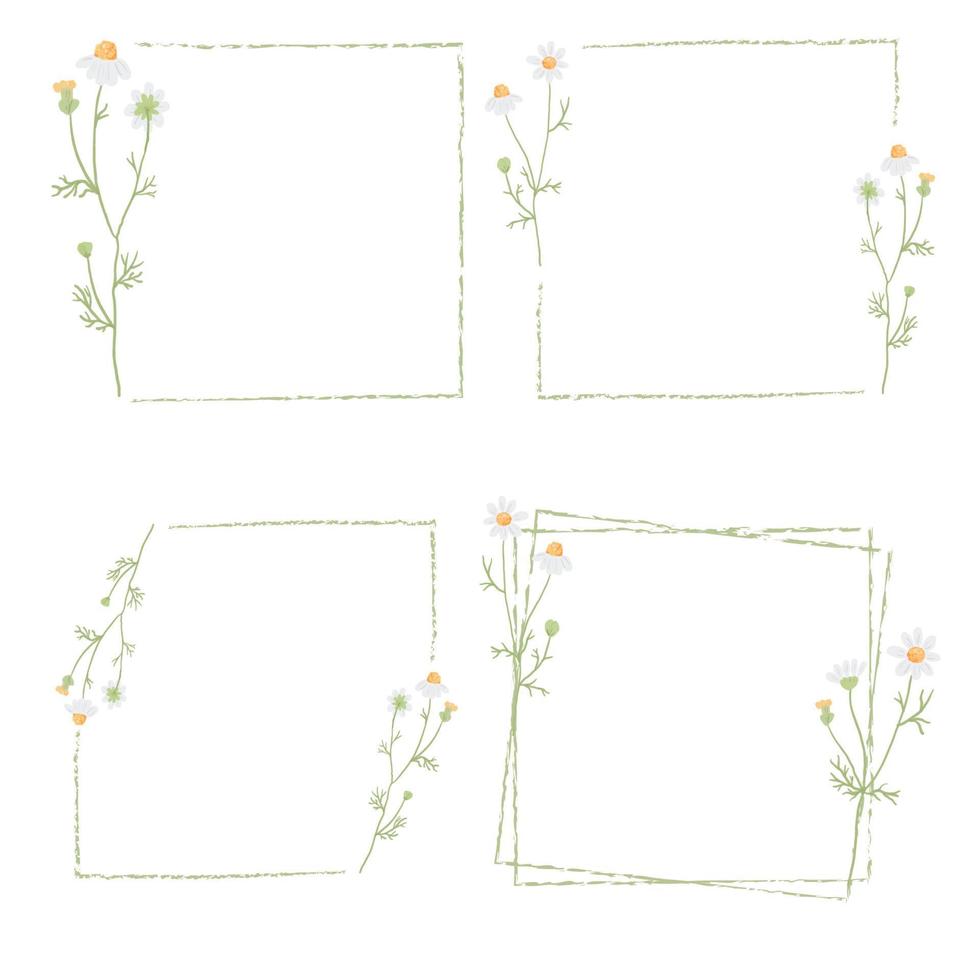 mooie minimale witte kamille bloem vierkante frame collectie vector