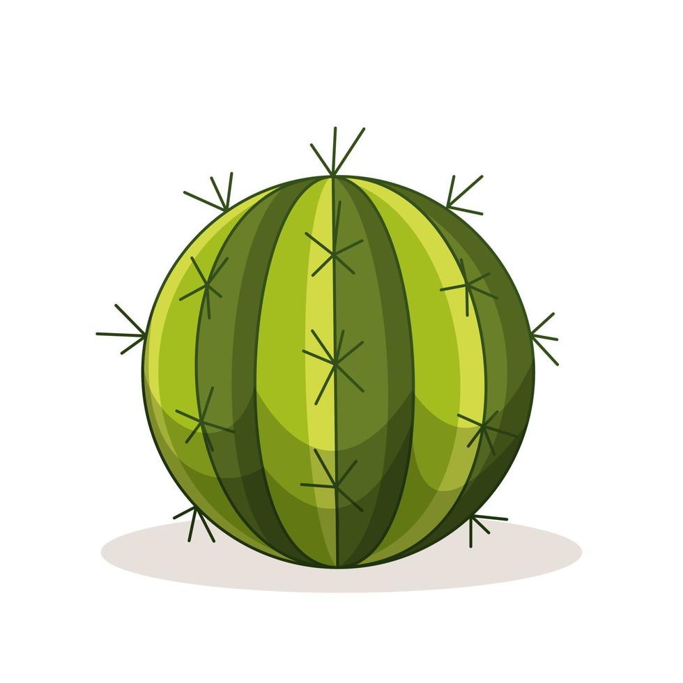 cactus met doornen. Mexicaanse groene plant met stekels. element van de woestijn en het zuidelijke landschap. cartoon platte vectorillustratie. geïsoleerd op een witte achtergrond. vector
