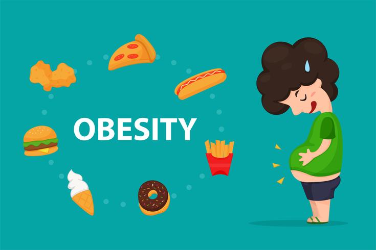 Obesitas. De buik van een dikke man die eet Maar junkfood of fastfood. vector