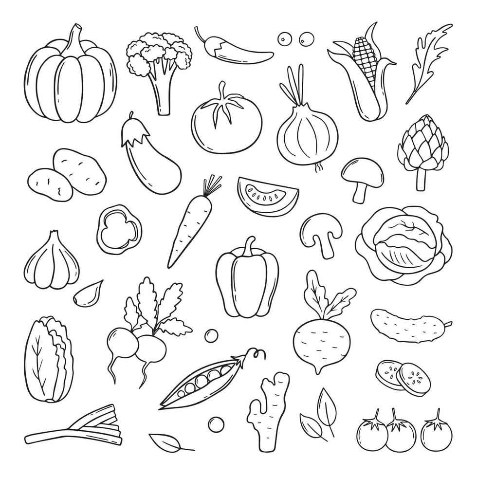 hand getekende set van groenten doodle. wortel, radijs, salade, komkommer, kool in schetsstijl. vectorillustratie geïsoleerd op een witte achtergrond. vector