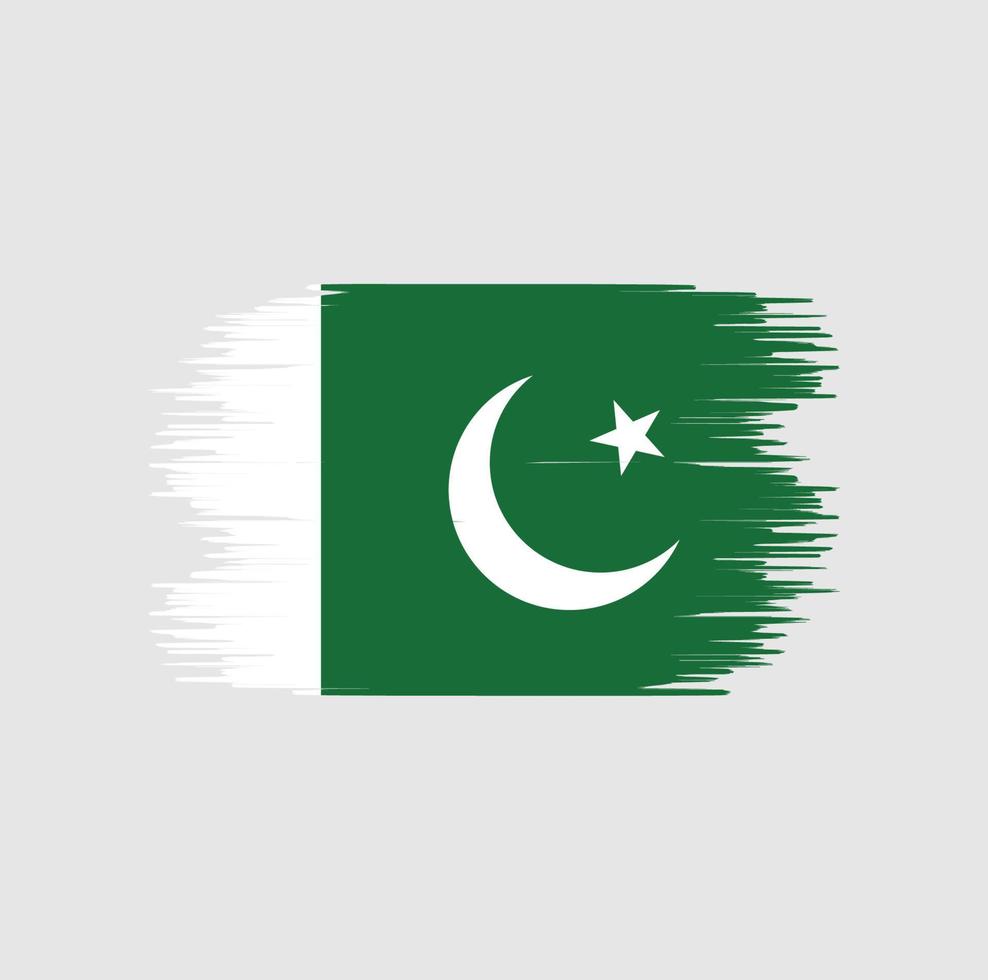 Pakistaanse vlag penseelstreek. nationale vlag vector