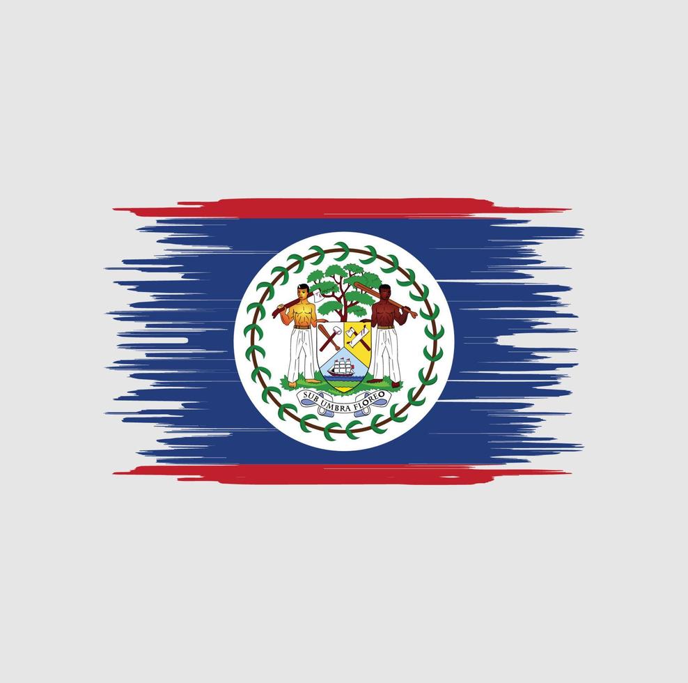 belize vlag penseelstreek. nationale vlag vector