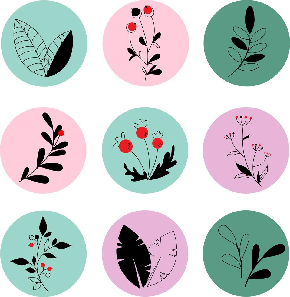 set logo met planten en bessen vector