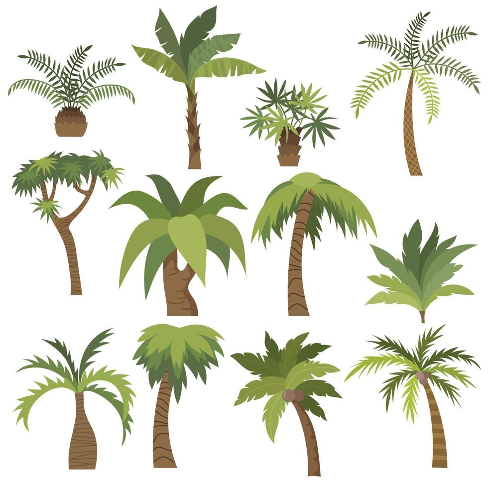 palmboom cartoon in vlakke stijl vector